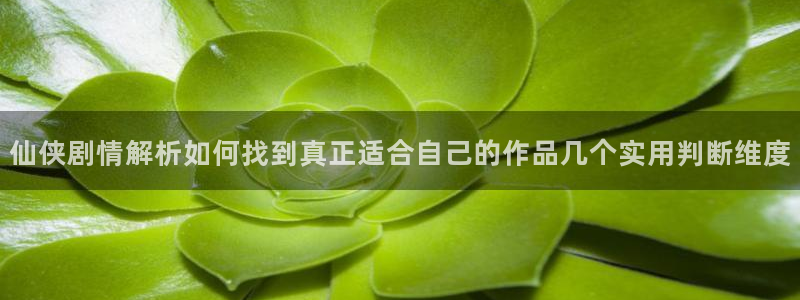 樱花日语例句:仙侠剧情解析如何找到真正适合自己的作品几个实用判断维度